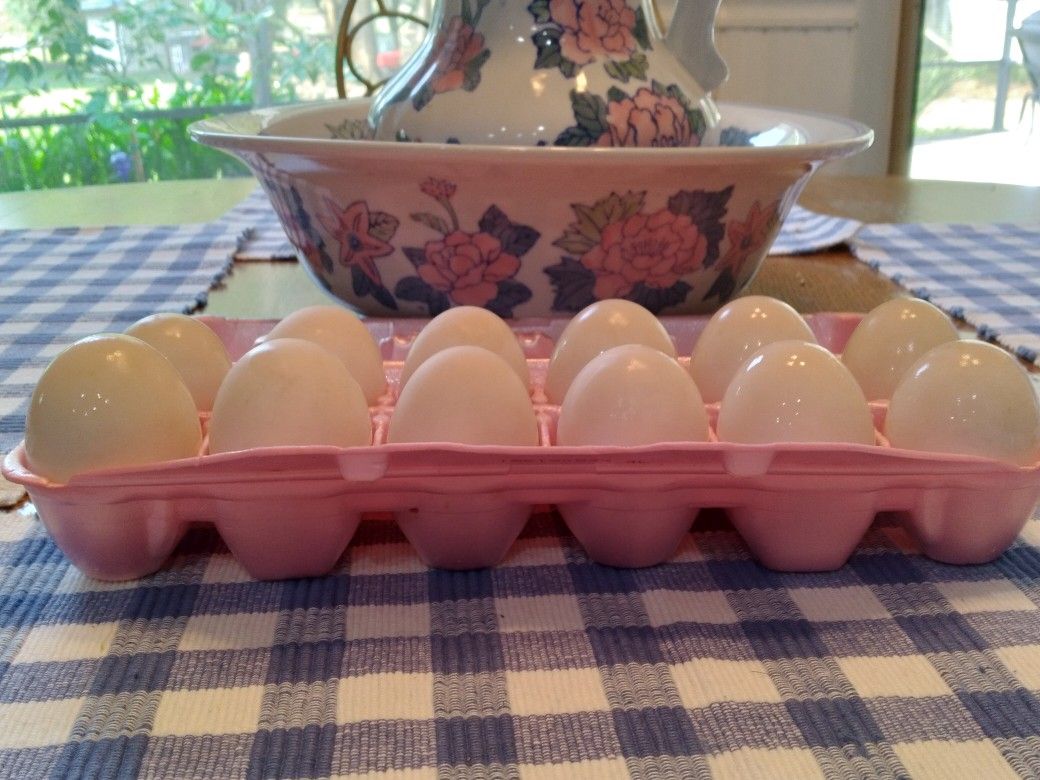 Fresh Duck Eggs ! All Natural From The Farm $6 a Dozen