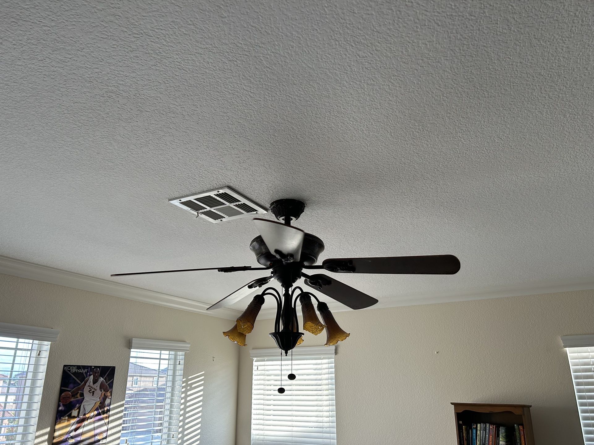 Ceiling Fan