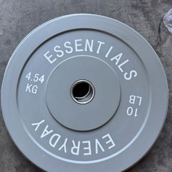 10lb Weight Lifting Plates