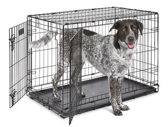 Dog crate 36”