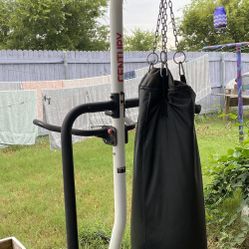 Punching Bag & Pull Up Bar Combo