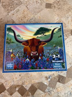 3 in 1 puzzle Texas edition