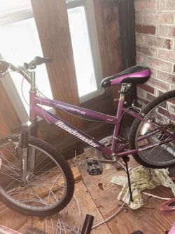 Roadmaster MeSport SX Mountain Bike