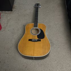 Electro-Acoustic Guitar (HYBRID)