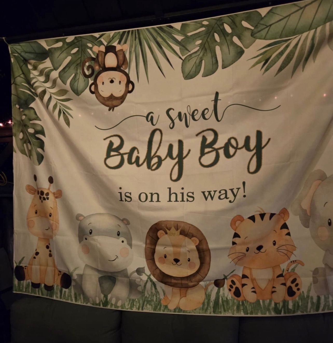 BabyShower Safari Boy