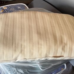 eBay hugs Pet Stairs 