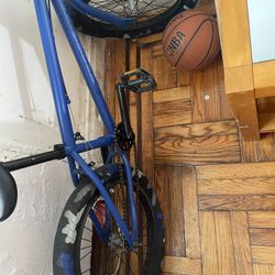 Bmx Elite