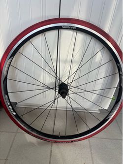 Road Bike 700c Rear wheel Only Shimano Hub 8/9/10/11 Speed  Victoria Zaffiro Tire 700x23