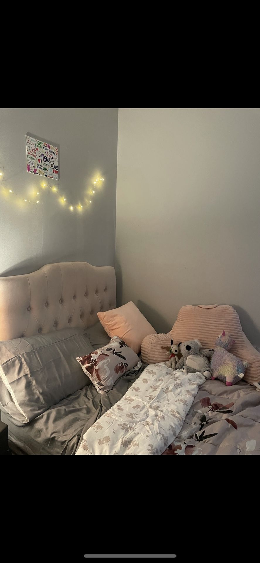 Blush Pink Headboard