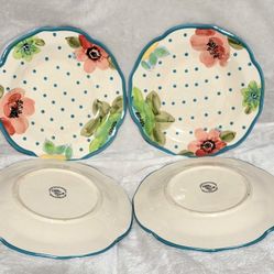 Like New Pioneer Woman Dinner Plates