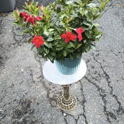 Vintage Mid Century Hollywood  Regency Marble Top / Brass Pedestal Base Plant Stand / Side Table