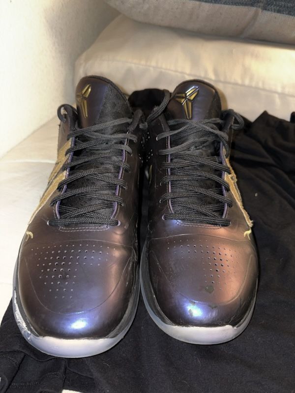 Kobe 5 Eggplants with box and tote bag