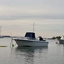 Sea Hunt Triton 172