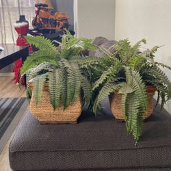 2 Artificial Plants 