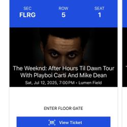 The Weeknd Concert Ticket VIP