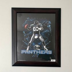 North Carolina Panthers Wall Hanging Frame Man Cave Decoration Accent
