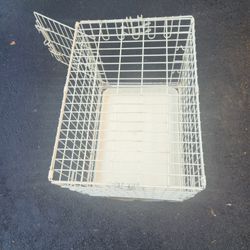 Medium Size Dog Cage