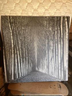 Woods Canvas Picture