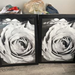 Flower Pictures/Frames