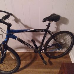 Giant Size 21 Aluminum Mountain Bike