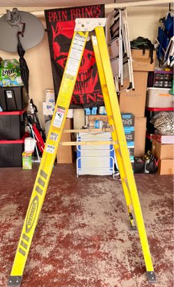 Werner 6 ft. fiberglass step ladder with a 375 lbs. load capacity
