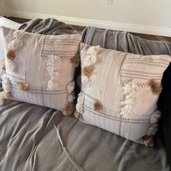 Anthropology Pillows