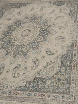 New Area Rug 6 By 9