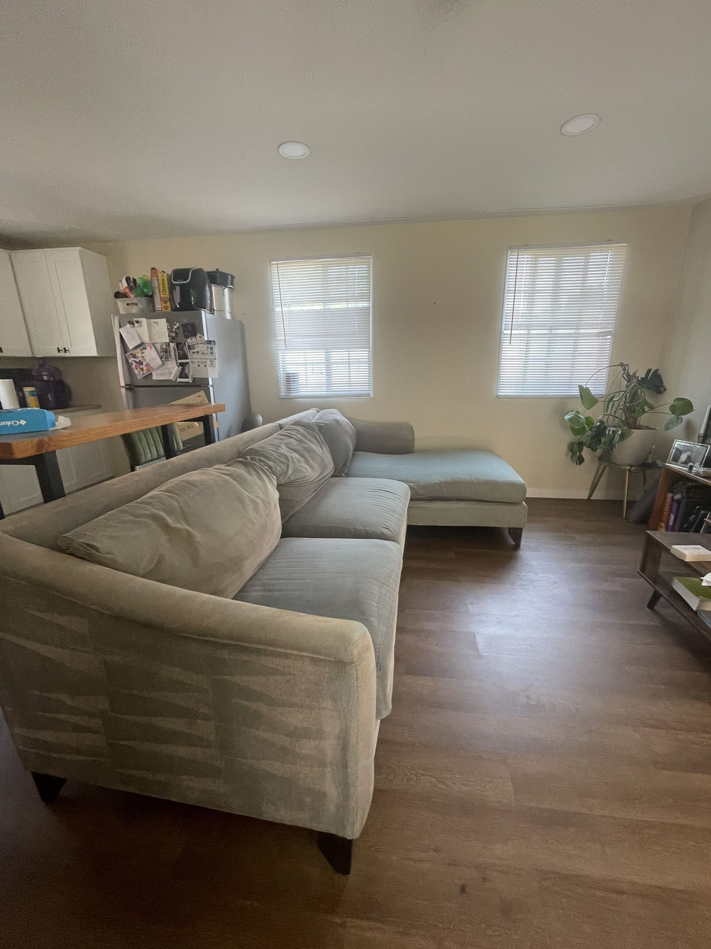 Sage Green Couch