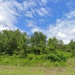 1/2 Acre Lot Of Land In Lehigh Acres. Lote De Medio Acre En Lehigh Acres