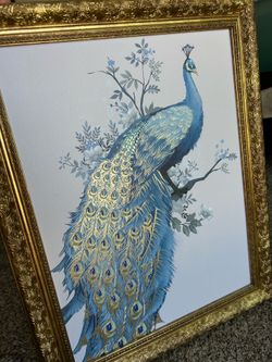Decorative Peacock picture