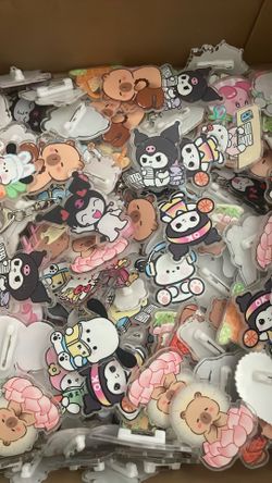 Pins Sanrio/Capybara