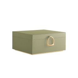 2-Layer Jewelry Box with Handle and Removable Jewelry Tray