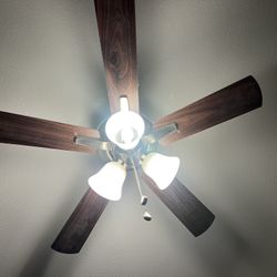 Ceiling Fan Works Perfect 