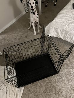 Dog Crate