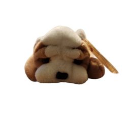 Vintage 1996 Ty Beanie Baby Wrinkles Ontario, Canada #4103