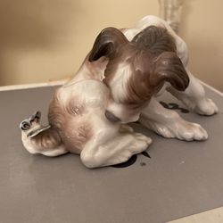 Dog With Butterfly On Tail