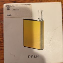 Palm Battery 