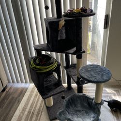 Cat Tree/cat Toys