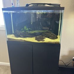 29 Gallon Fish tank 