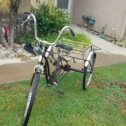 1952 Schwinn 3 Wheel Bike Restored A Few Years back 400