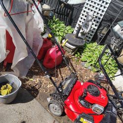 Working Self Propelled Lawnmowers 