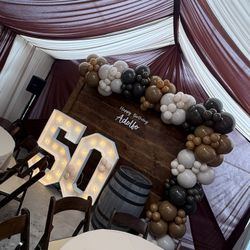 Backdrops & Drapes 