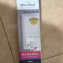 White Pull Down Blinds 