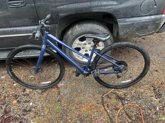 Specialized 2025 Sirrus X 1.0