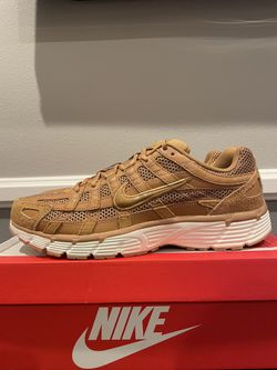 Nike P-6000