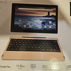 11 Delta Pro 2 Laptop Tablet