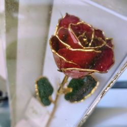 24k Gold Real Red Rose