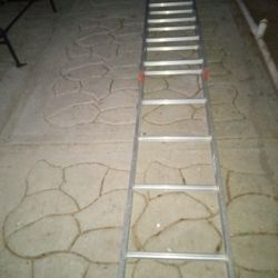 Extended Ladder ( 16 Feet Tall ) 