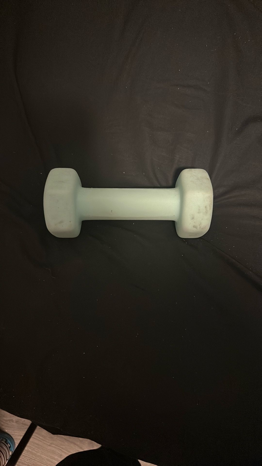 Teal/Aqua 5 Pound Weight