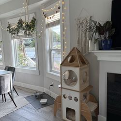 Cat Tower Rocket Ship